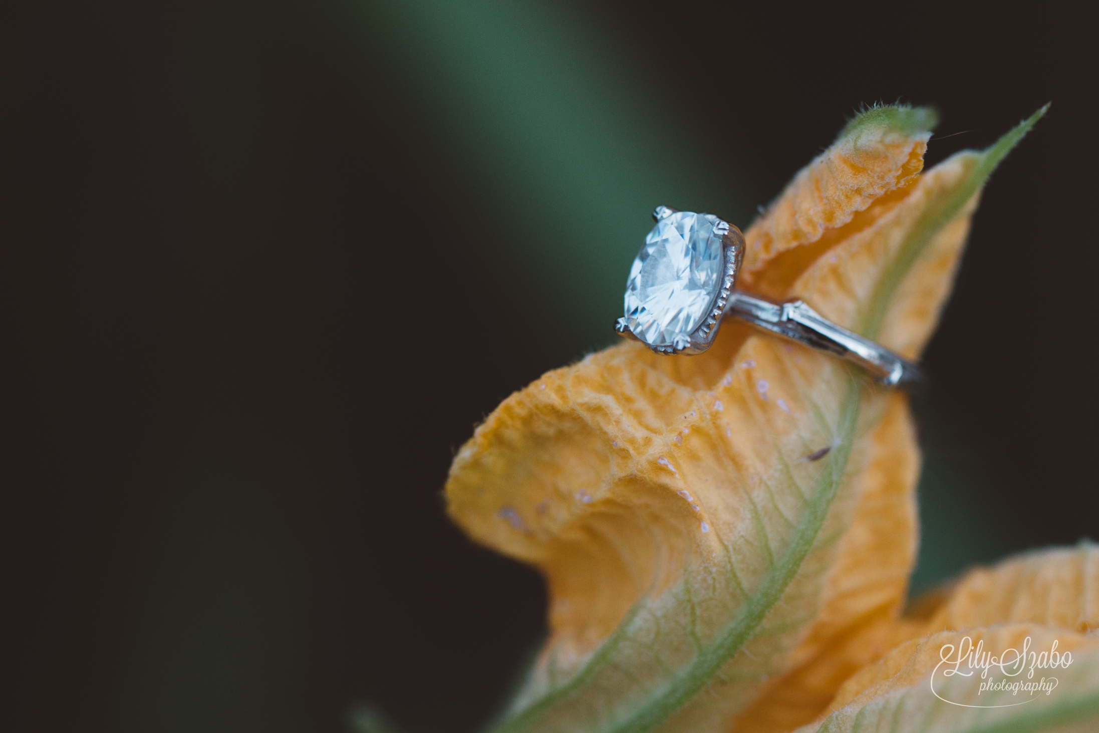 483-jersey-city-hoboken-nj-engagement-session