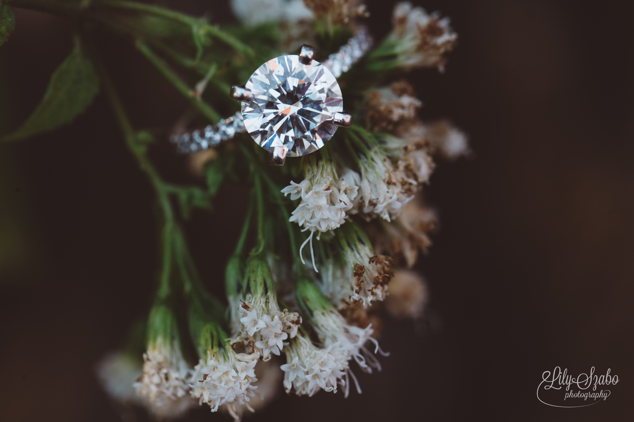 633-garret-mountain-engagement-session