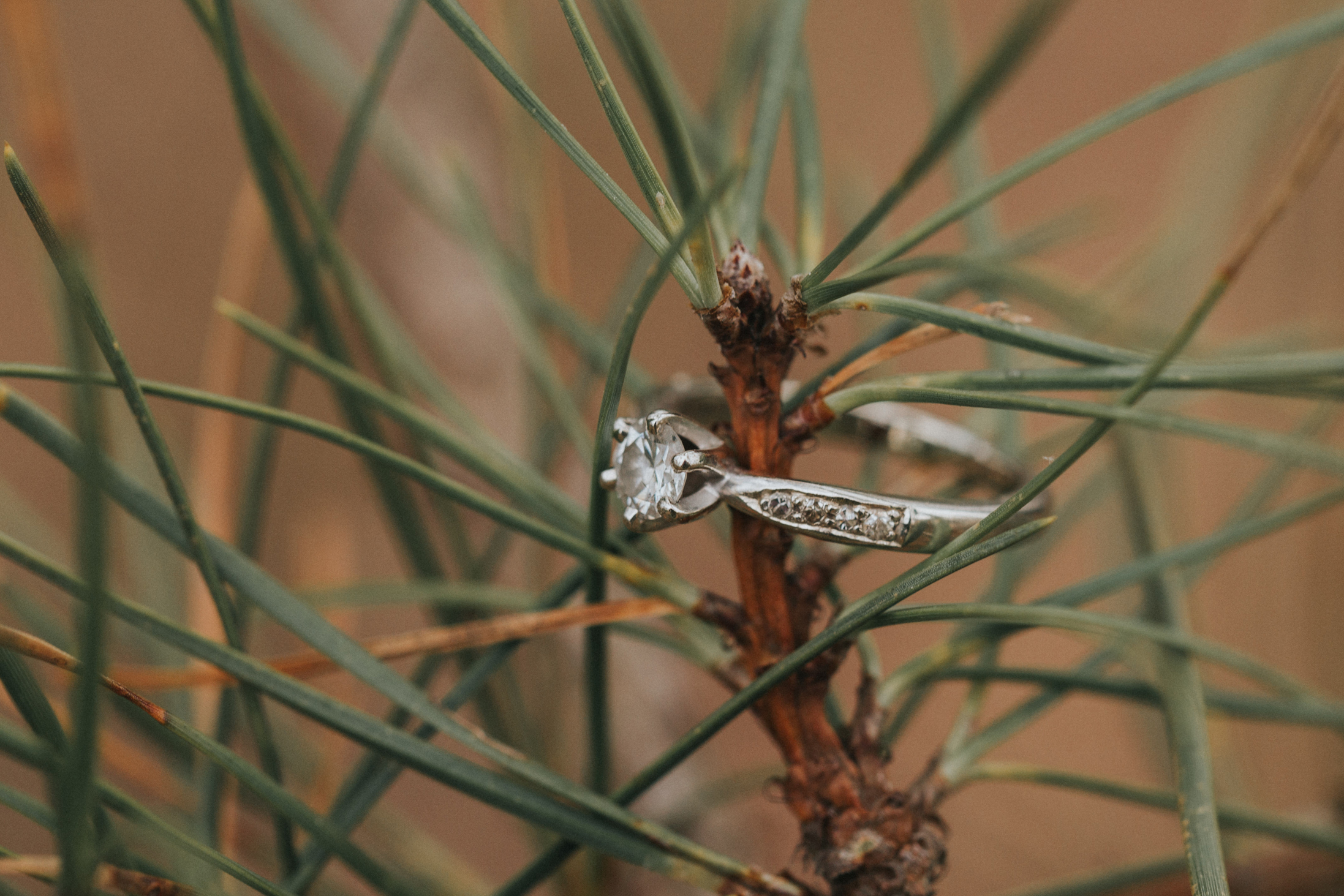 073-cattus-island-snow-engagement